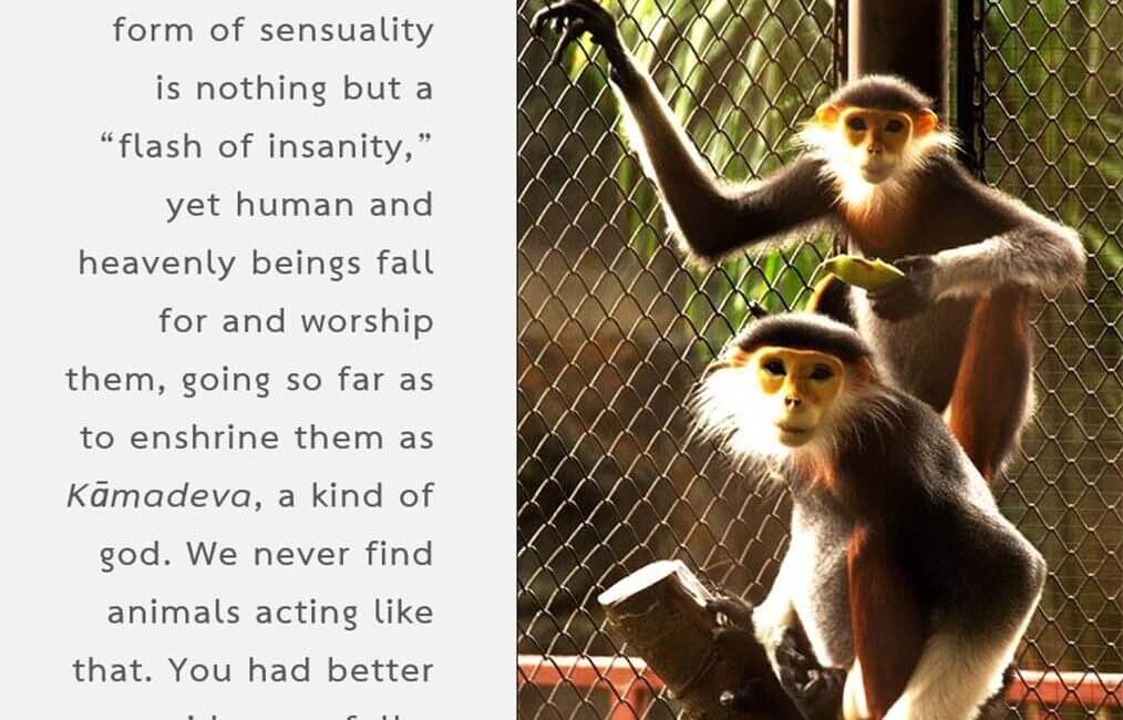 Legacy 83 10 Legacy 83