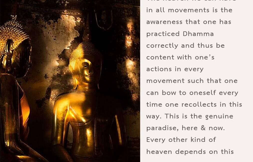 Legacy 84 9 Legacy 84