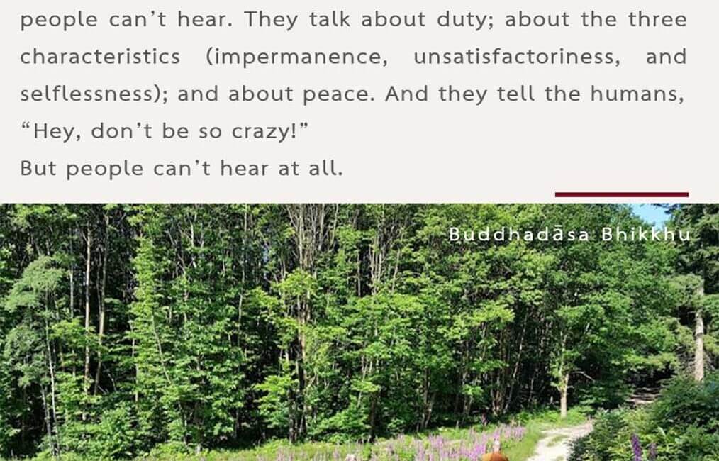 Legacy 85 8 Legacy 85