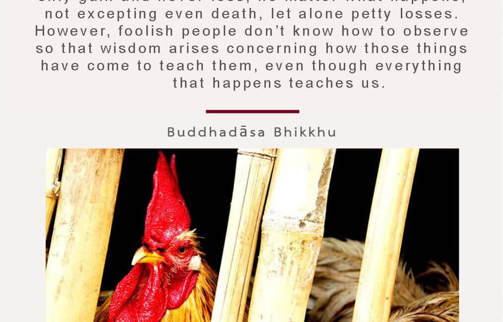 Legacy 86 7 Legacy 86 edited