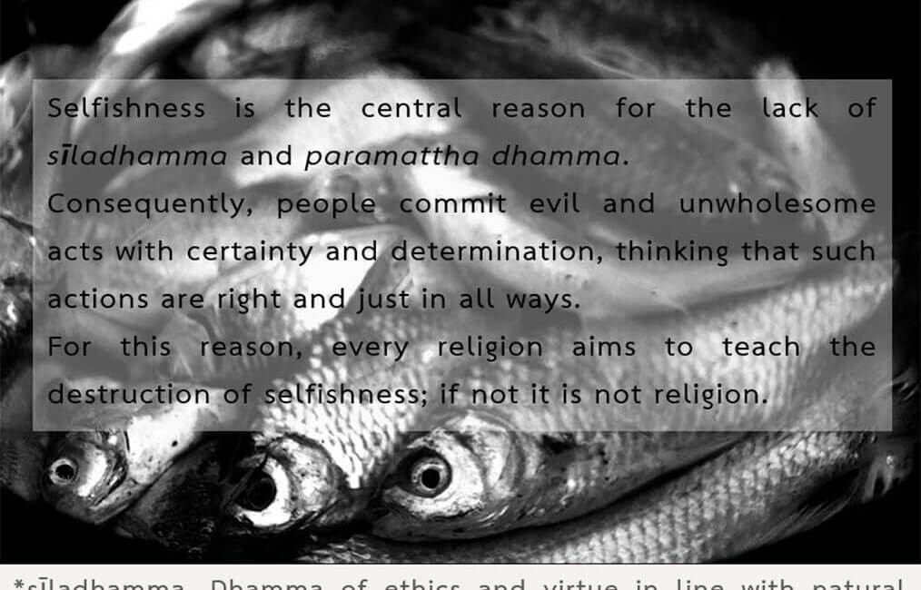 Legacy 90 3 Legacy 90