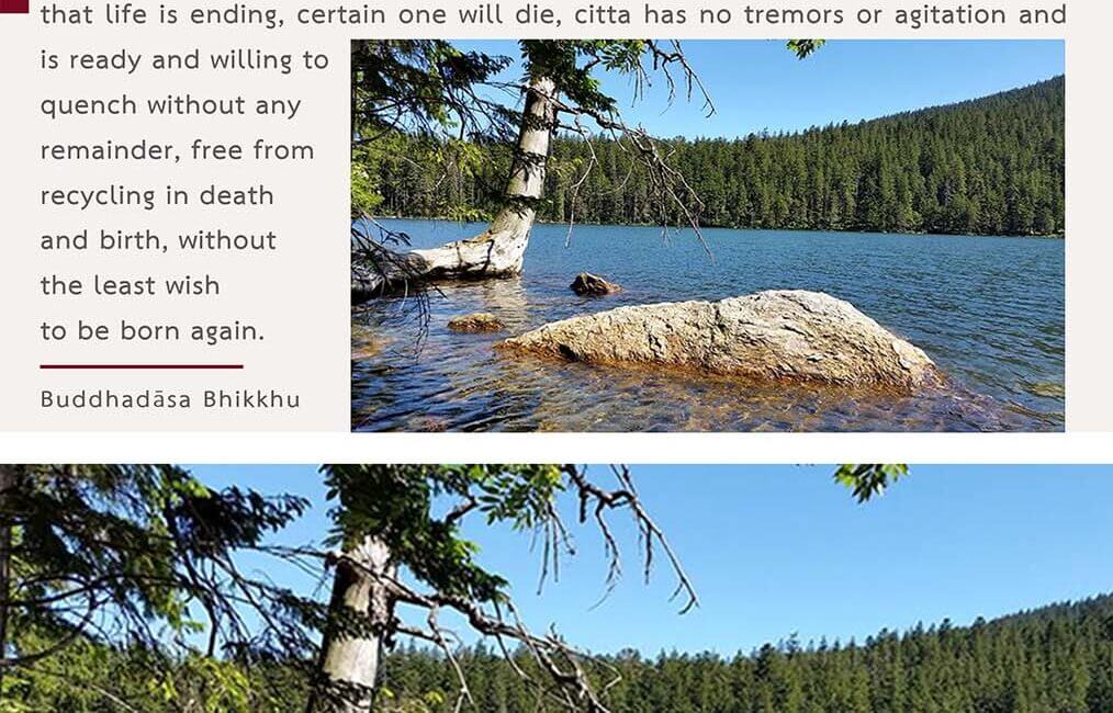 Legacy 97 20 Legacy 97