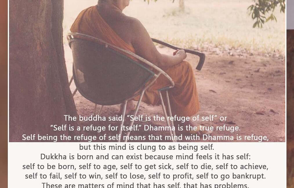 Dhamma Is the True Refuge 18 SWED 13