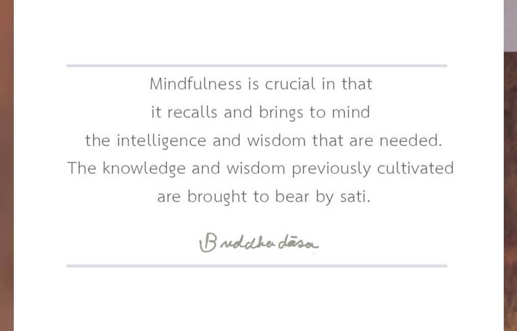 Mindfulness 7 SWED 24