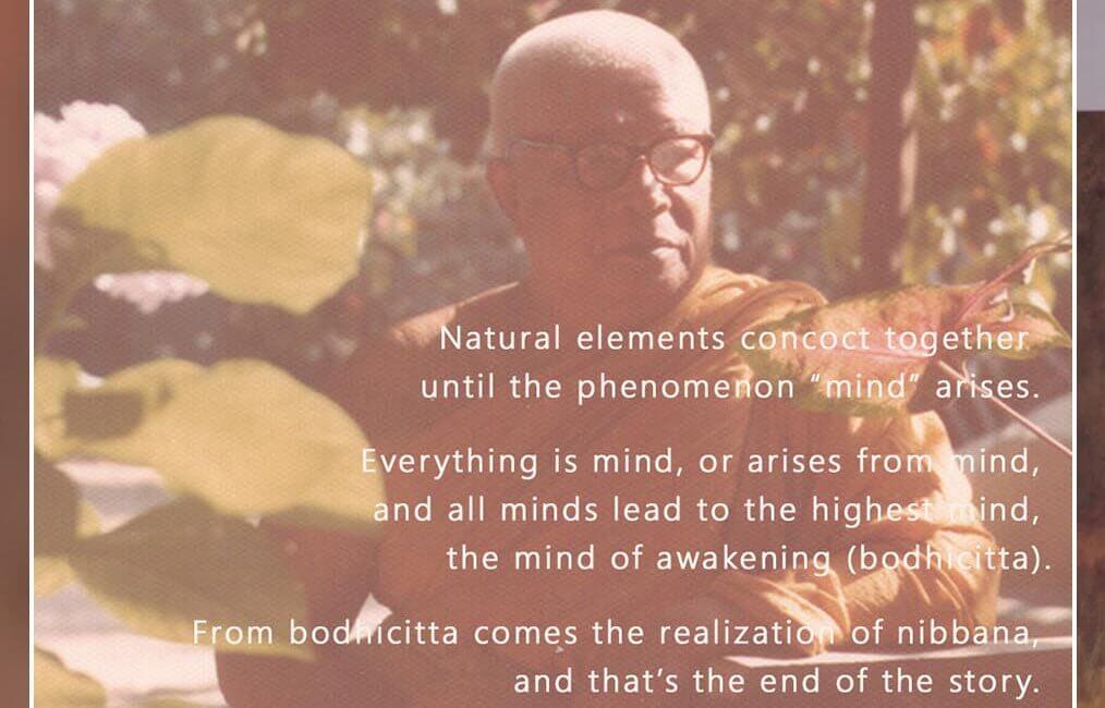 Everything is Mind 3 SWED 28
