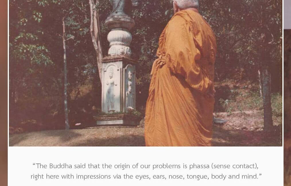 Origin of Our Problems 4 SWED 3