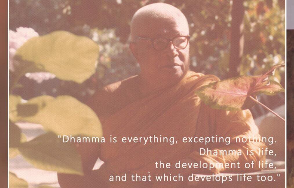 Dhamma is everything, excepting nothing 1 SWED 30