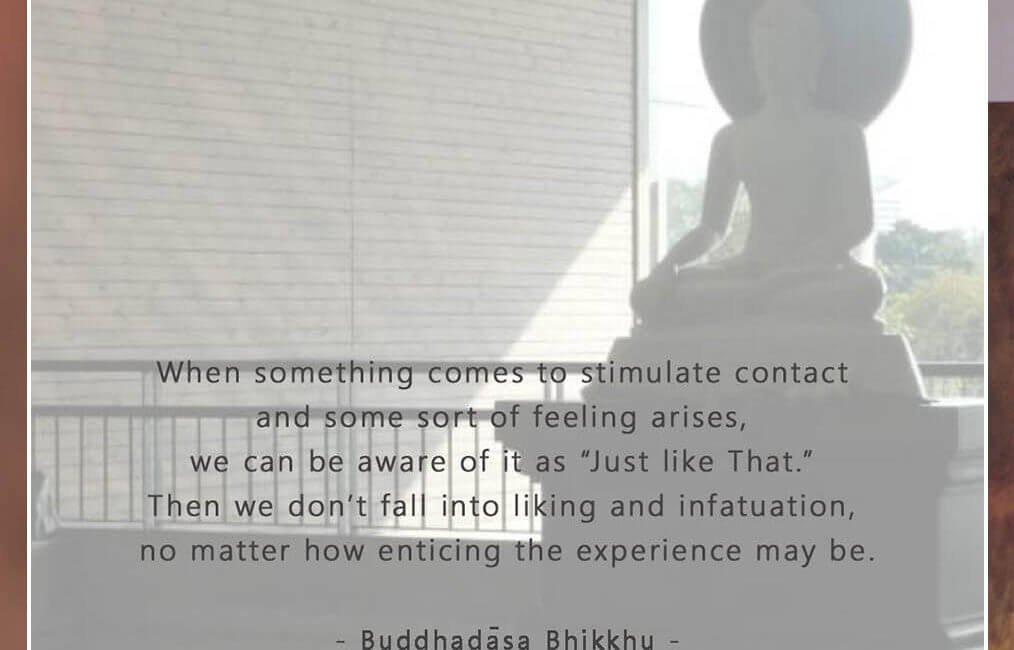 Contact 16 SWED 38