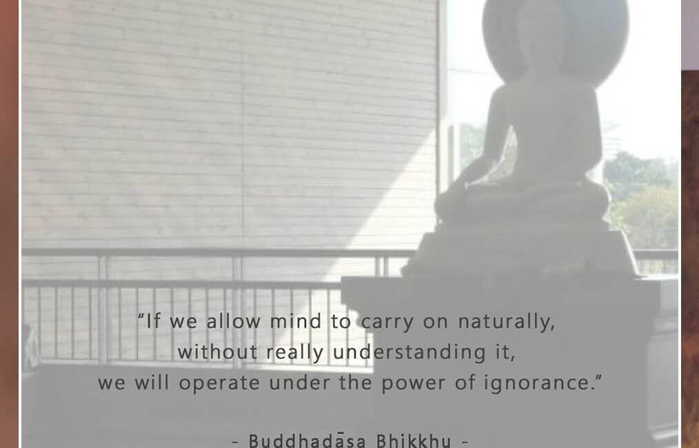 Understanding Our Mind 15 SWED 39