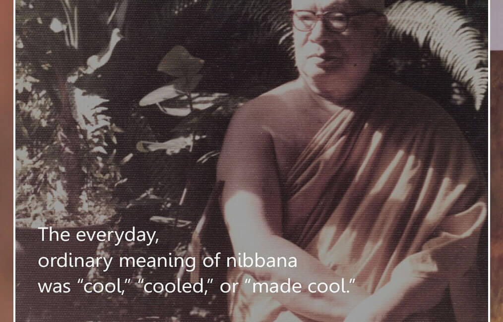 Nibbana 11 SWED 44