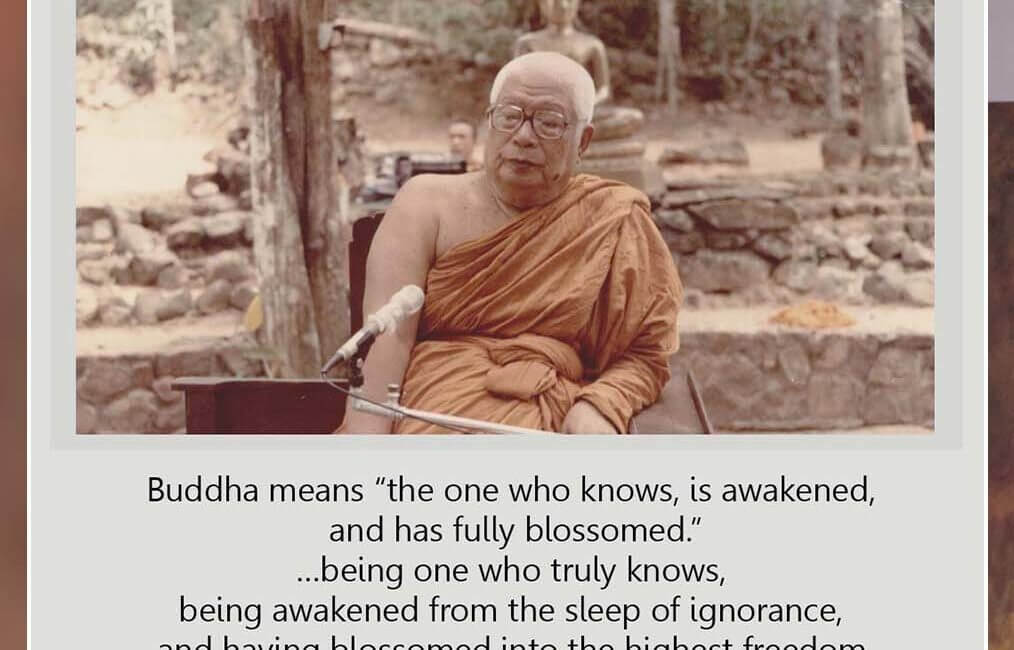 Buddha means... 23 SWED 8