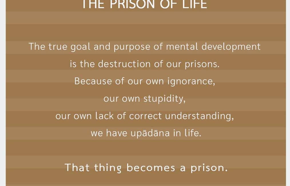 The Prison of Life #5 10 The Prison of Life 5
