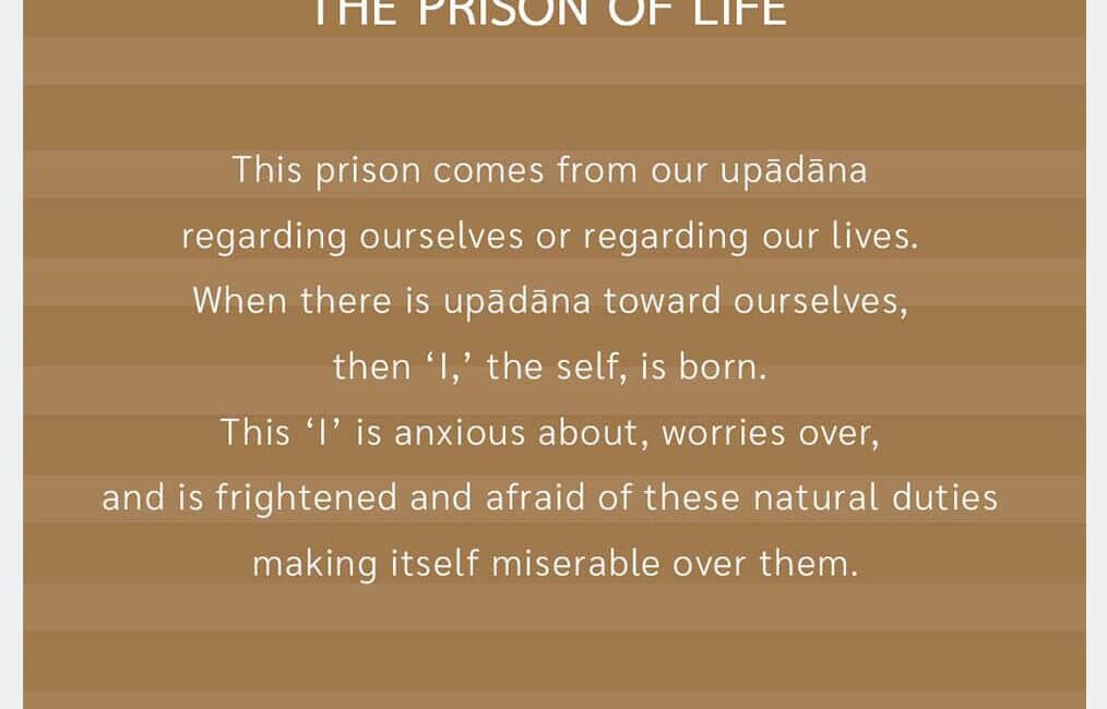 The Prison of Life #7 8 The Prison of Life 7