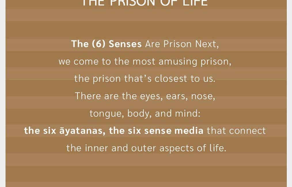 The Prison of Life #8 7 The Prison of Life 8