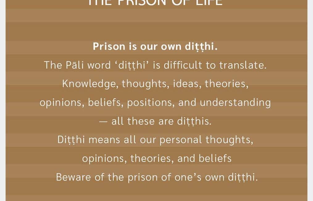The Prison of Life #9 6 The Prison of Life 9