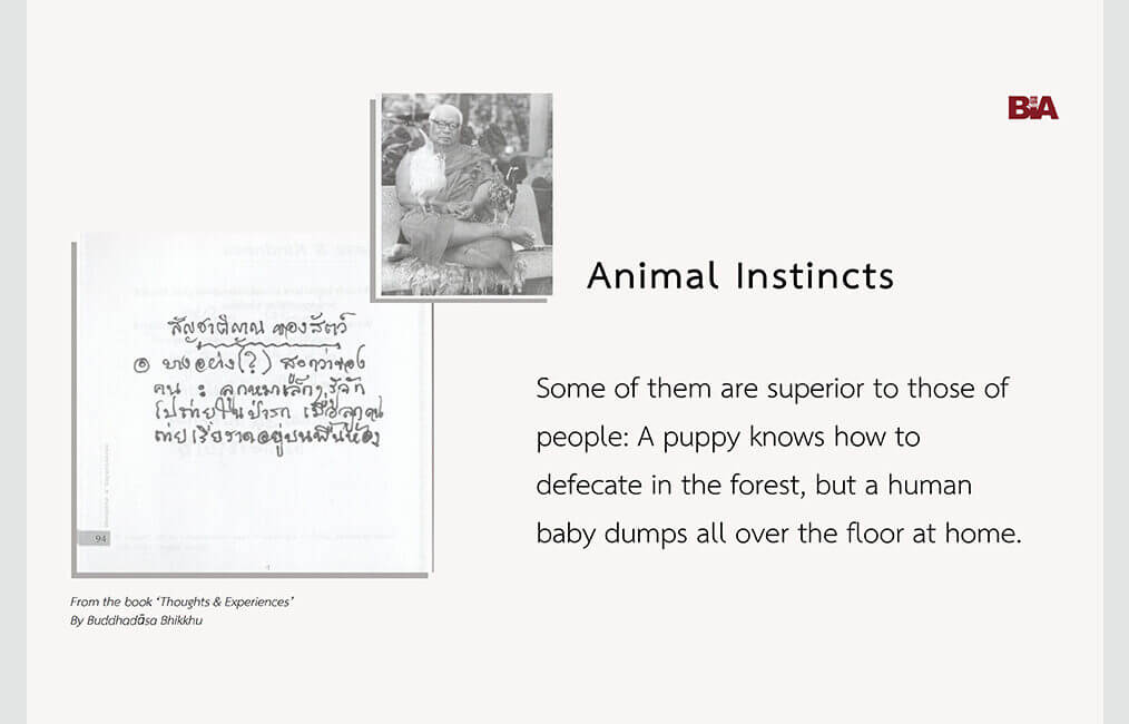 Animal Instincts 4 ThoughtsExperiences 21