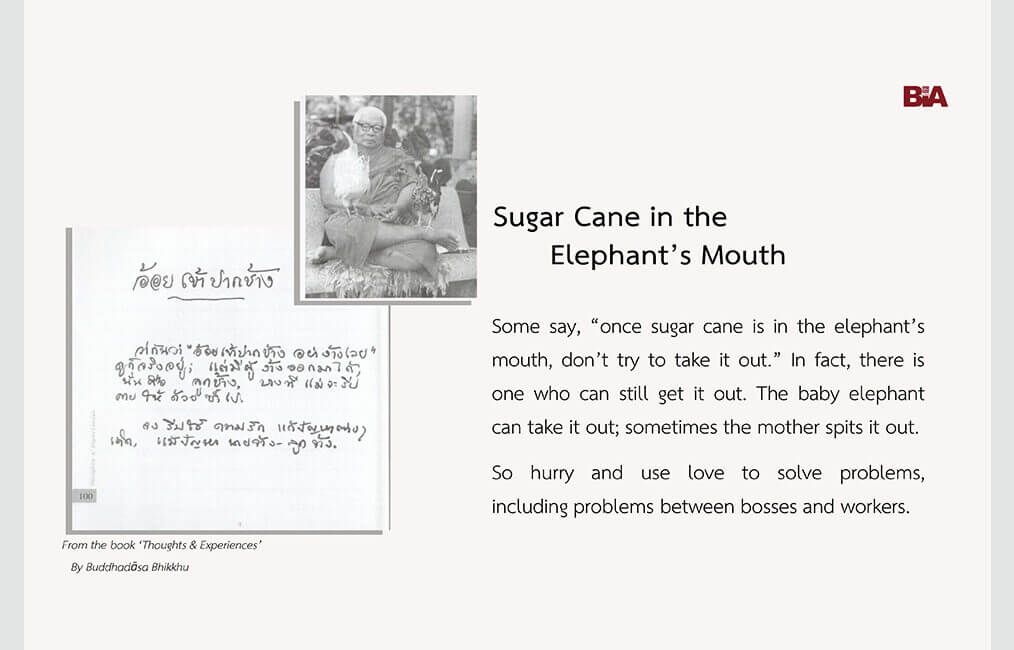 Sugar Cane in the Elephant’s Mouth 3 ThoughtsExperiences 22