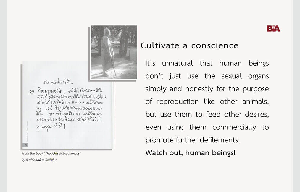 Cultivate a conscience 10 ThoughtsExperiences 39
