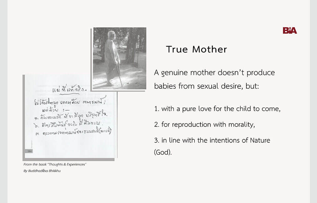 True Mother 7 ThoughtsExperiences 42