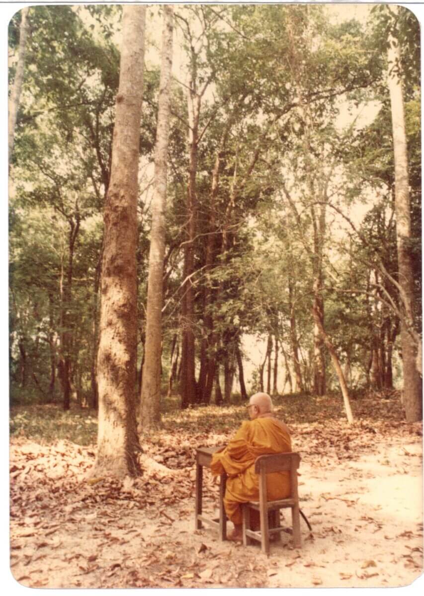 "การศึกษาหมาหางด้วน" ในทัศนะของพุทธทาสภิกขุ (wiki) 3 พุทธทาส