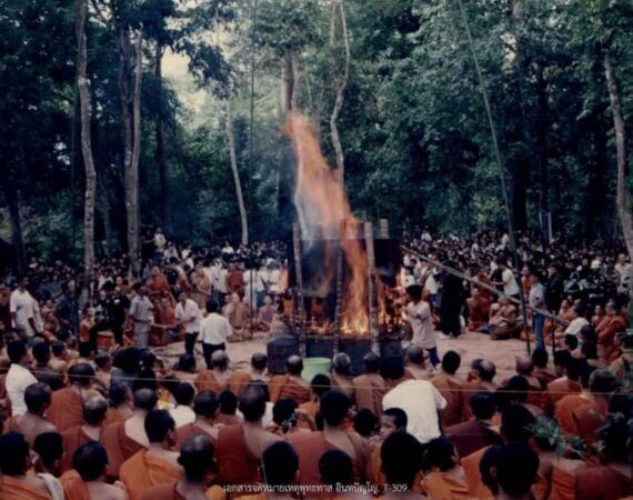 เผาศพ พุทธทาส