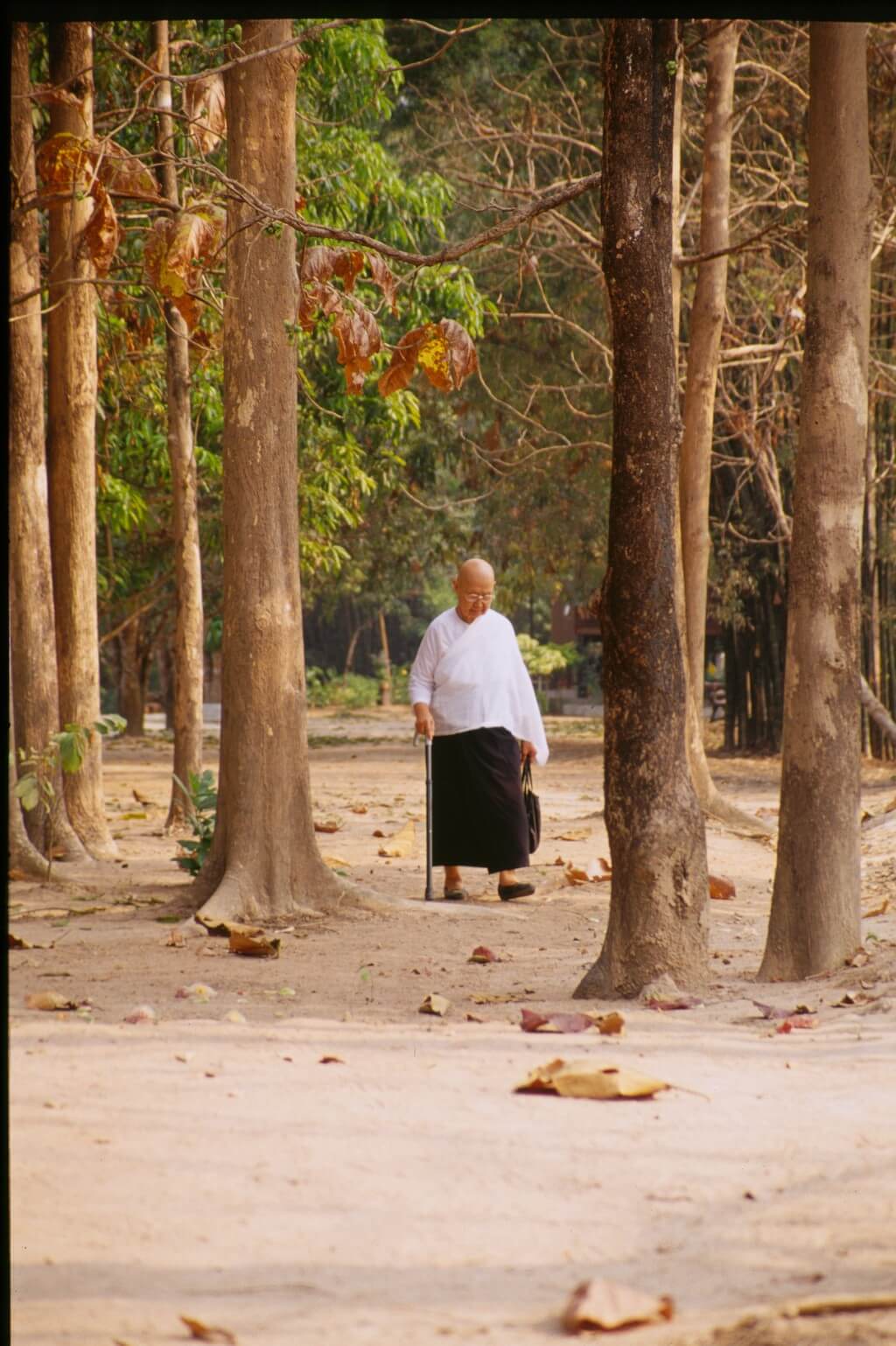 จากปณิธานของพุทธทาสสู่ธรรมาศรมธรรมมาตา 23 Mt0588