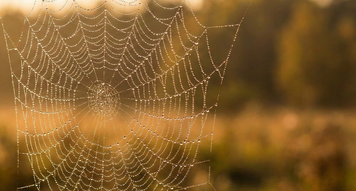 ความเปราะบางของชีวิต และสิ่งที่เกื้อหนุนความปกติสุข - มองย้อนเหตุภัยพิบัติหาดใหญ่ 5 Gemini Generated Image xyfxtexyfxtexyfx cr