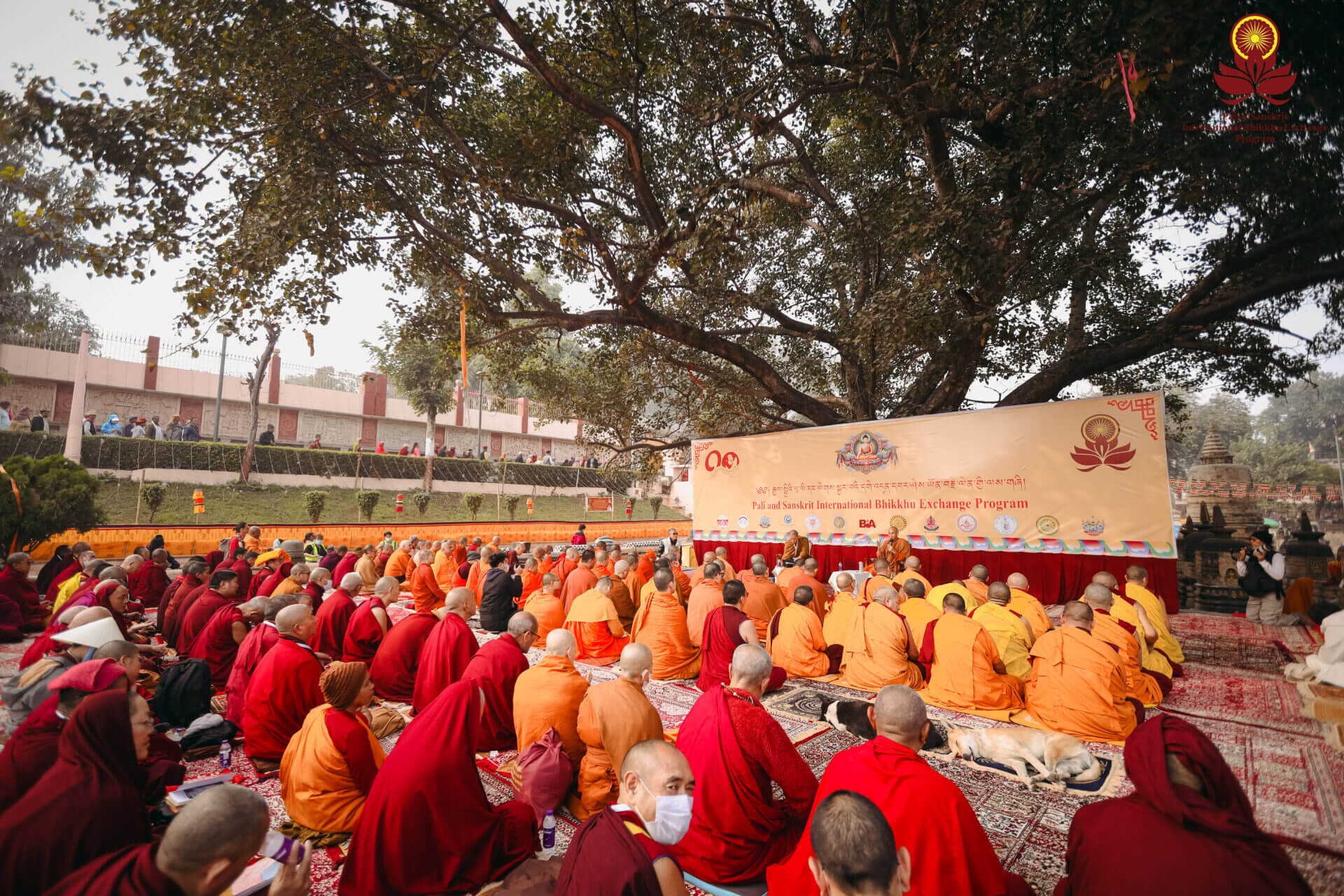 บันทึกการเดินทาง - เส้นทางสองสายธรรม โครงการแลกเปลี่ยนพระภิกษุนานาชาติบาลี-สันสกฤต ปี 4 (2569) 6 สวดมนต์ต้นโพธิ์ 5B1A2821