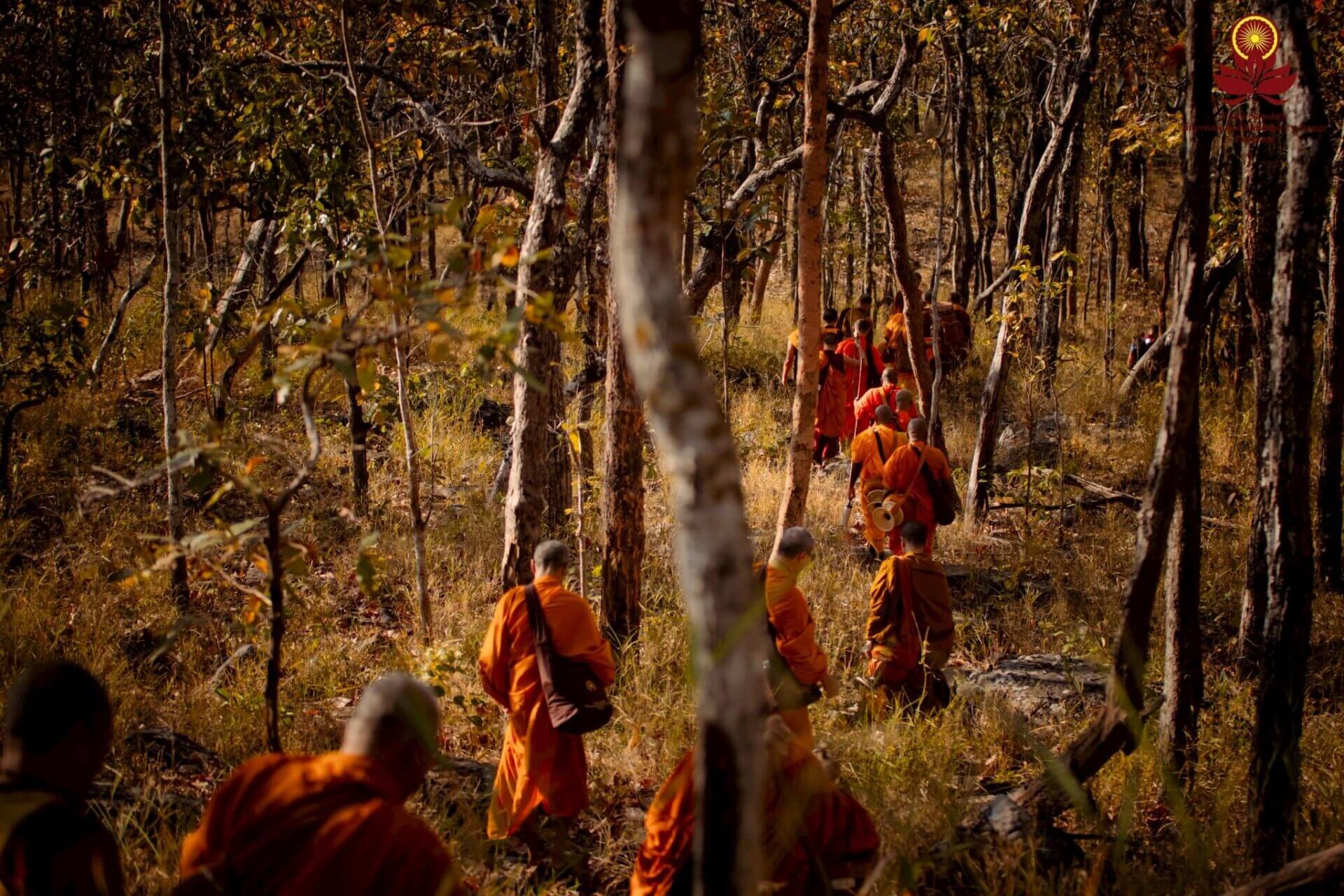 พระนานาชาติเรียนรู้วิถีของพระป่าไทยด้วยการปฏิบัติจริง ณ สามวัดป่าภาคอีสาน 2 วัดป่าโสมพนัส 2026 5