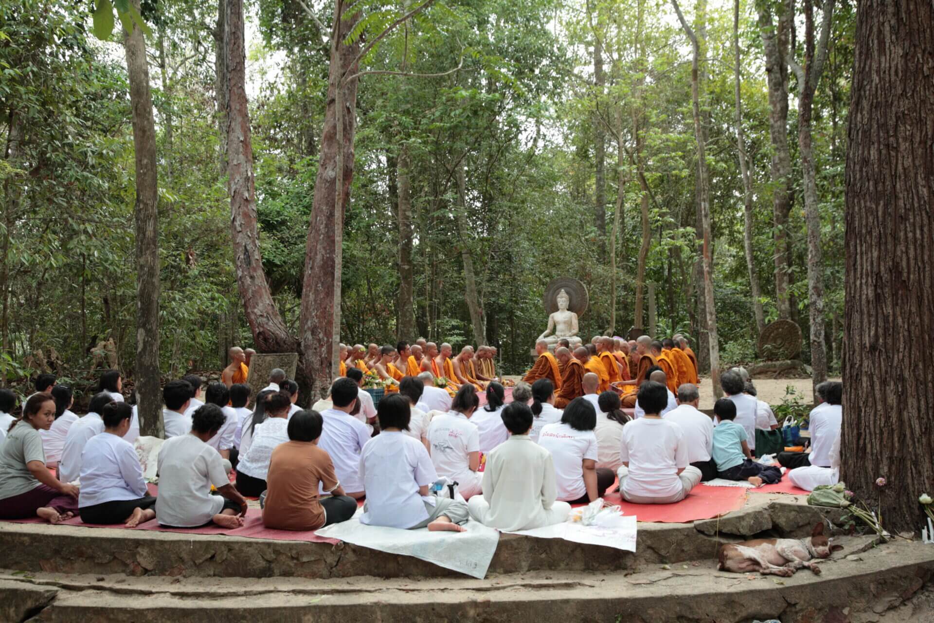 โบสถ์สวนโมกข์ หรือ “โบสถ์เขาพุทธทอง” อุโบสถกลางธรรมชาติที่สะท้อนอุดมคติของท่านพุทธทาส 5 IMG 4823