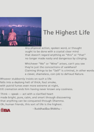 11 The Highest Life-