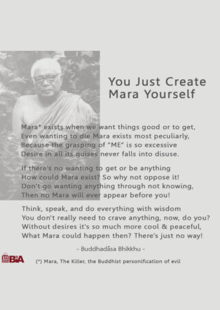14 You Just Create Mara Yourself-