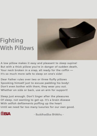 17 Fighting With Pillows-