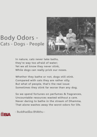 20 Body Odors - Cats - Dogs - People-