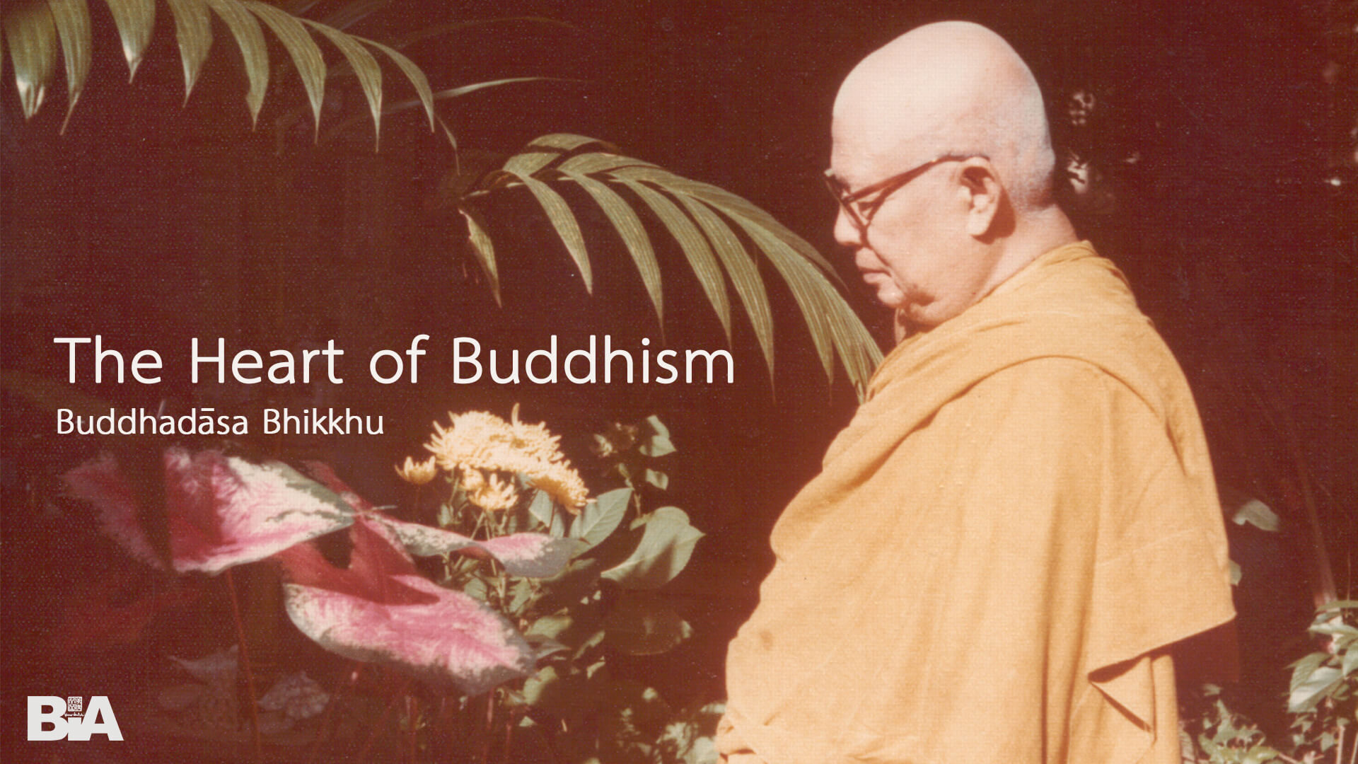 8210 The Heart of Buddhism