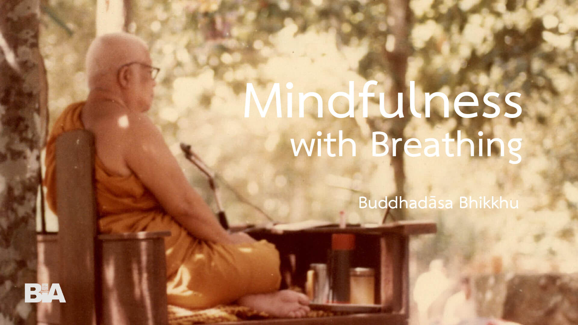 8803 Mindfulness with Breathing