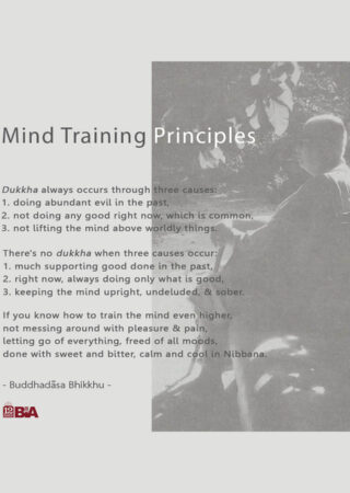 21 Mind Training Principles-