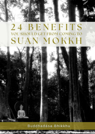 24 Benefits You Should Get from coming to Suan Mokkh