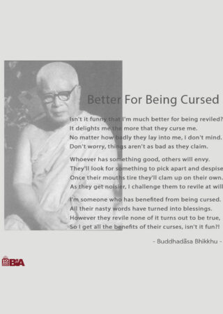 24 Better For Being Cursed-