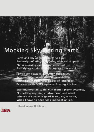 25 Mocking Sky, Daring Earth-