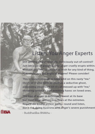 26 Listen, You Anger Experts-