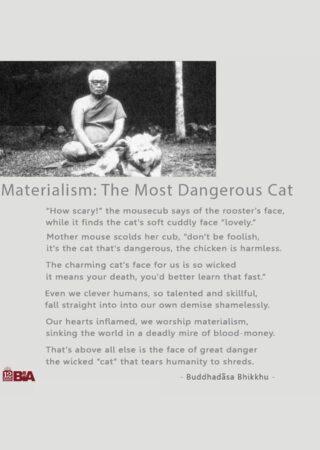 27 Materialism- The Most Dangerous Cat-
