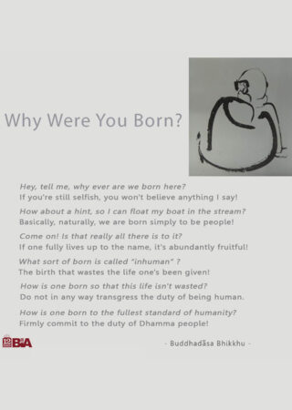 30 Why Were You Born-
