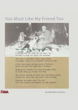 31 You Must Like My Friend Too-