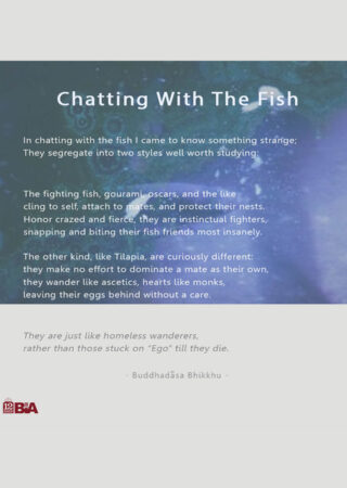 41 chatting with the fishes-