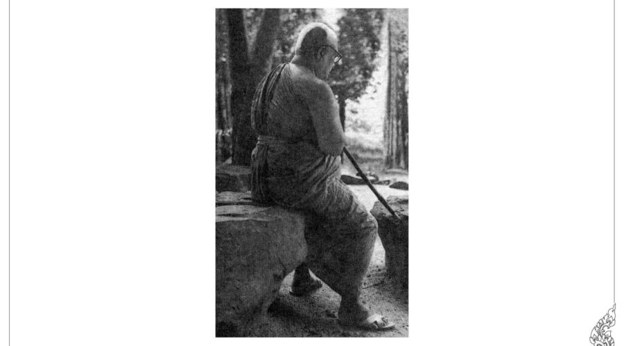 42 The More Learning, The More Stupid.