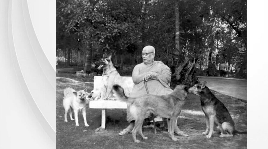 44 Body Odors-Cats-Dogs-People-final