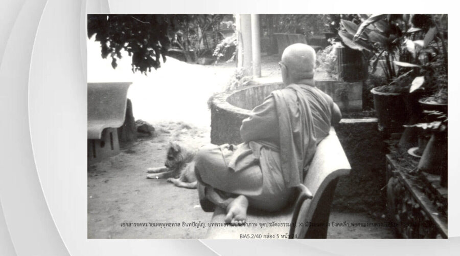 44 Cat Never Brush Their Teeth-final