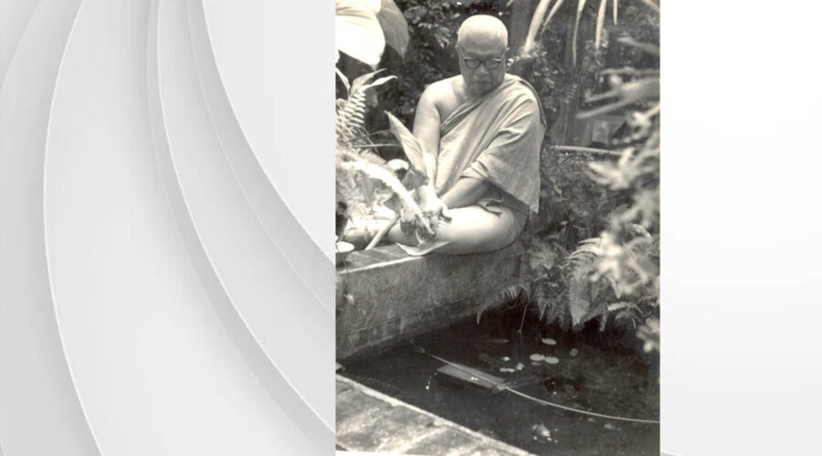 44 Chatting with the Fish-final.