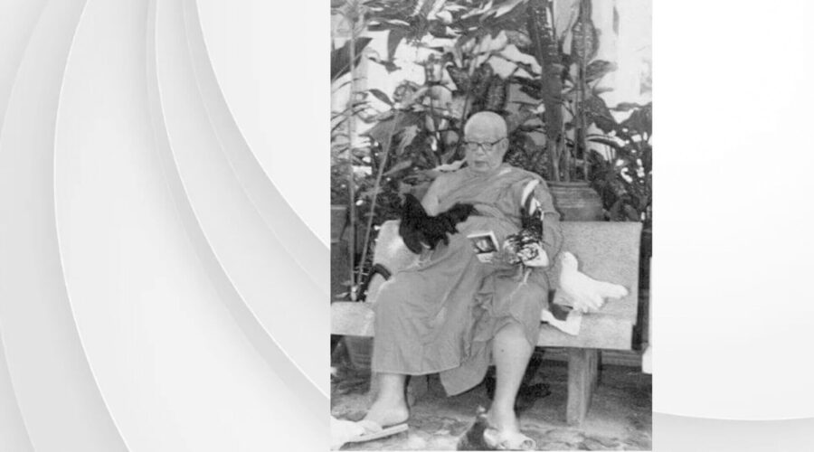 44 Don't be Shamed by the Chicken-final.